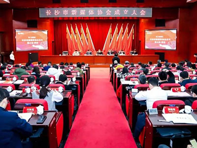 長沙市新媒體協會正式成立，陳花當選協會秘書長